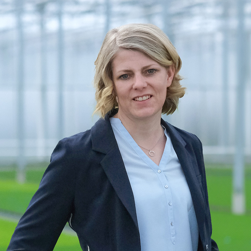 Anne-Baumann