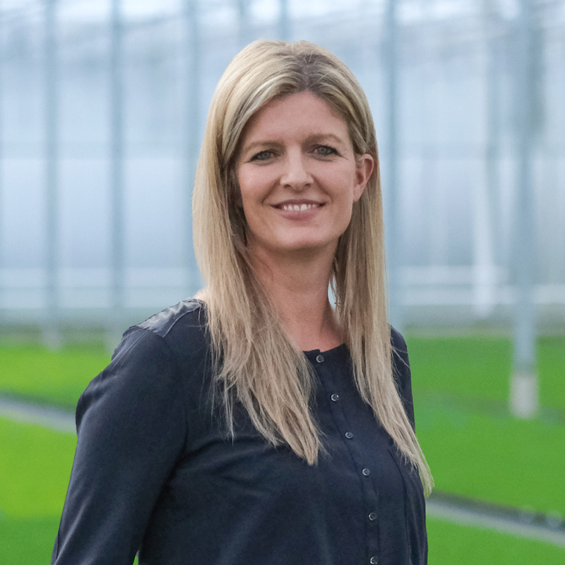 Janina-Honnen